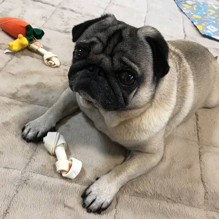 34e172e1 b88b 4e5e b5ad 8a534d32107d 1561885893106