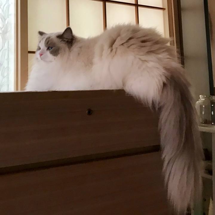 34e173b3 3a02 4021 9c38 4a6891b41336 1599905629569