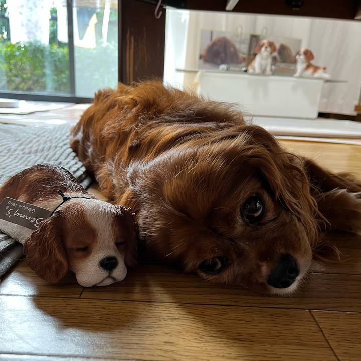 34e18088 8352 4703 b0df 9b9fe3e957b0 1694644386745