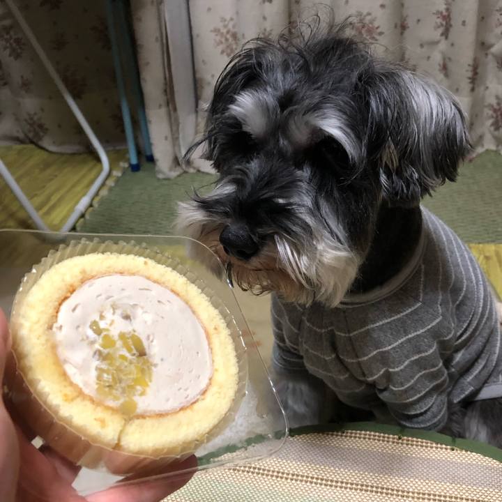 34e18a11 efe2 4a2f bb8a 19bf67e41b4e 1545488850432