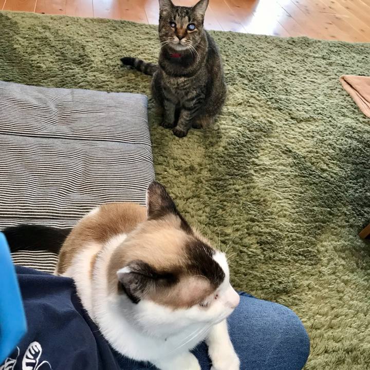 34e18cca fa4e 4c9c b27b 6371858f8d6e 1631086832311