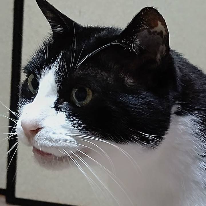 34e1d9d6 dafb 479f bc3f cdb3bfbe30b6 1621678303455