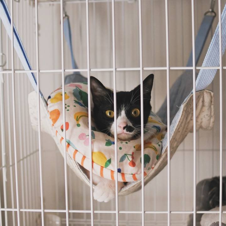 34e25874 294a 4aa1 a172 b6da3d9619f9 1711765934895