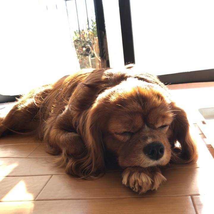 34e278c0 447c 4723 9c60 2632d6fbae43 1609666924727