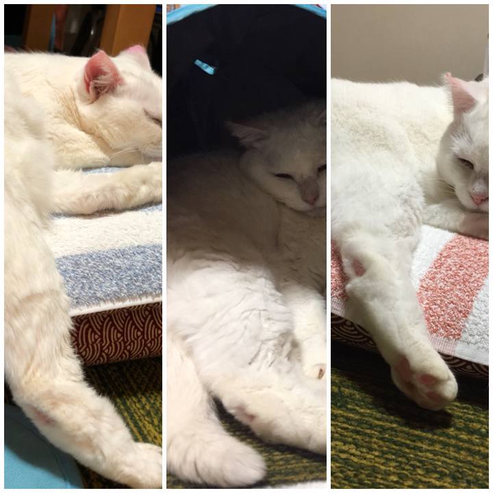 34e2bda7 4b9f 4b54 b39a 164323f27b59 1525948365113