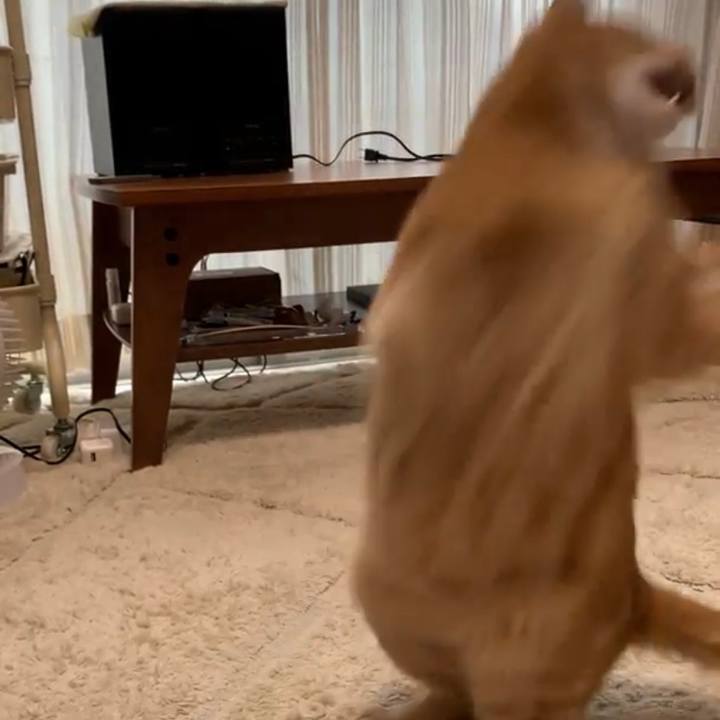 34e2eab9 7520 47e4 8e28 3d2cdf3d843b 1627097531985