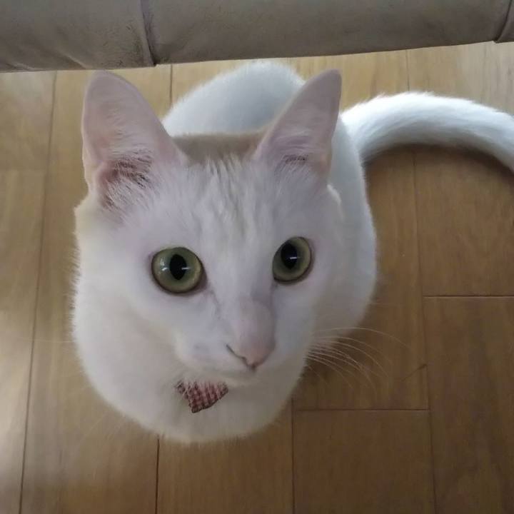 34e2eda6 3c16 4680 9ddc 84e39535c00f 1637324812636