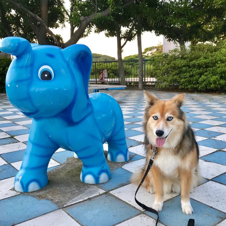 34e2edd6 82b9 4507 81d6 29c32ebb956a 1561455067858