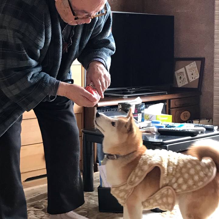 34e2f38f 9bf1 4146 807a c40166c89e9d 1549517508129