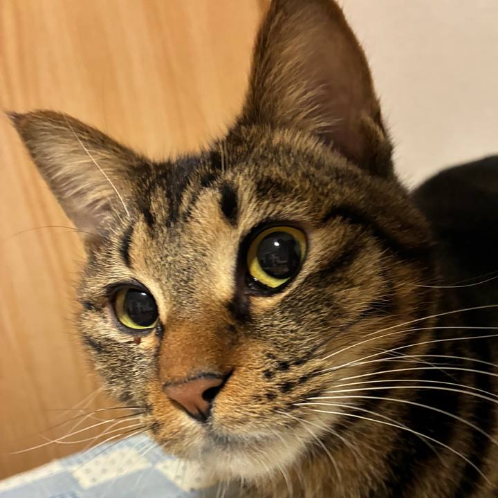 34e32fbc 0d00 49b8 ab5a d189ecef4945 1767970358062