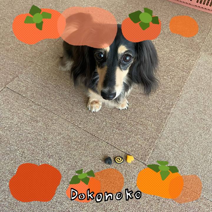 34e34b96 6551 4e43 bd2c f7c9bb07a55c 1761694436651