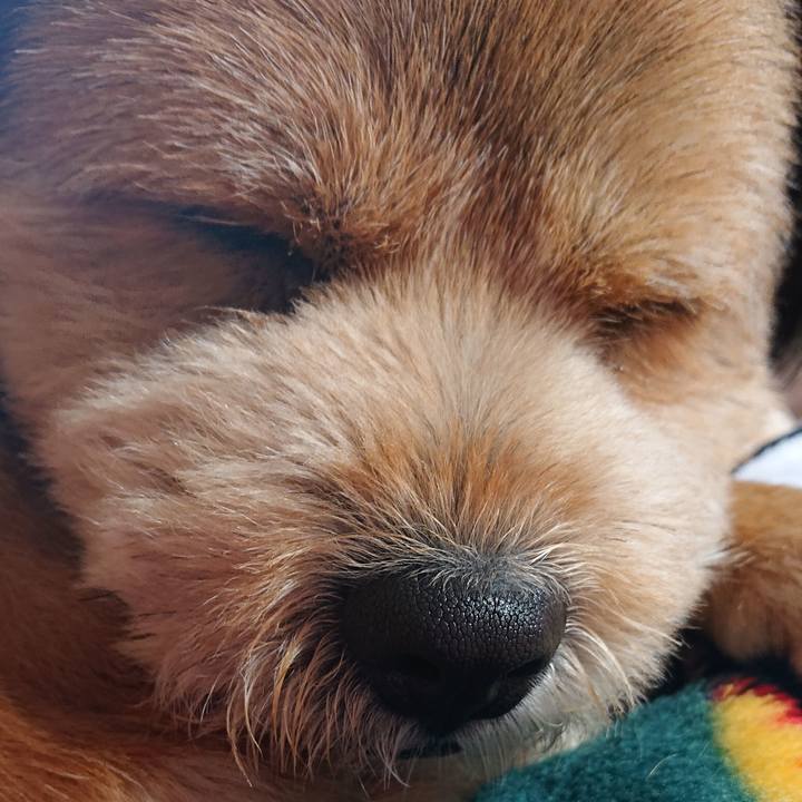 34e36627 c664 4b6e afe5 736c94570648 1551658724050