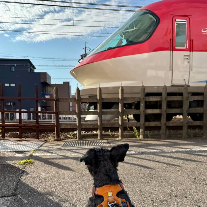 34e3b359 d723 4476 904c 1cd1043b7c42 1748989321500