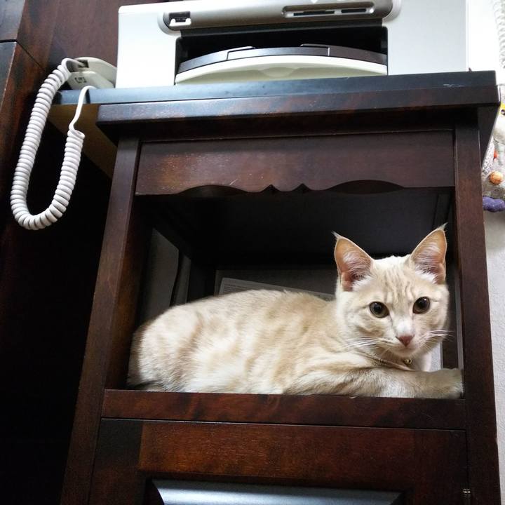 34e3e56a 3a3c 4b0d 81fc d5832bea626c 1546521583384