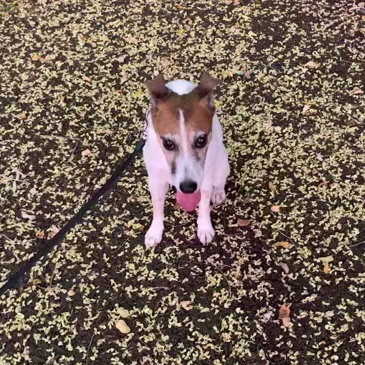 34e3f200 66f6 42be a749 e9fec4dce3a2 1564742203769