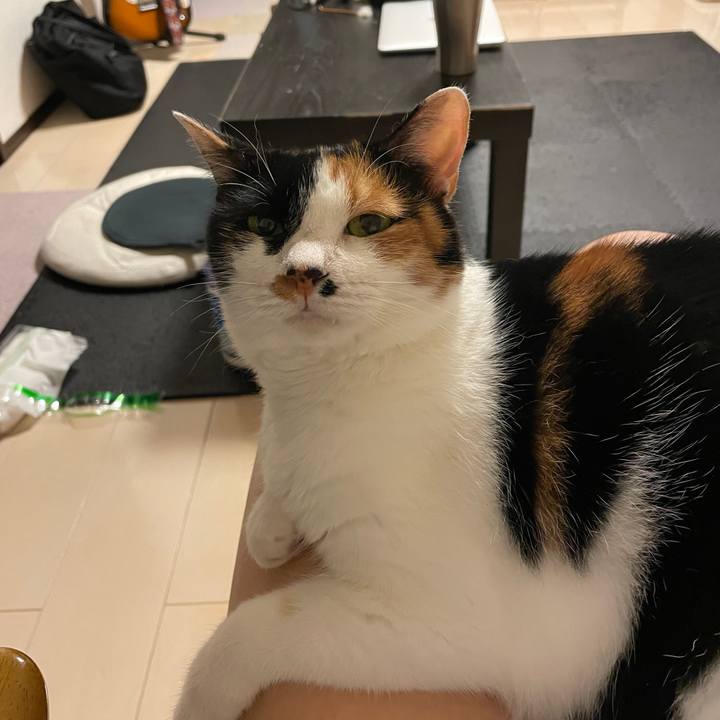 34e3f843 a9d3 4d95 ad63 b95d22b9c08c 1753240654010