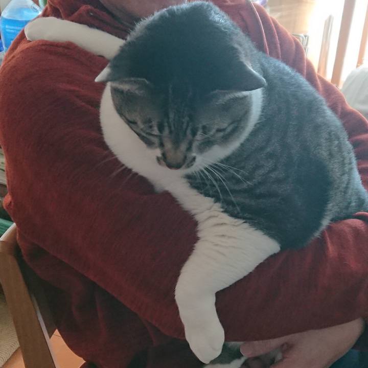 34e40c13 6dcb 4b9a ae4d 2f8ce00398ee 1549961835679