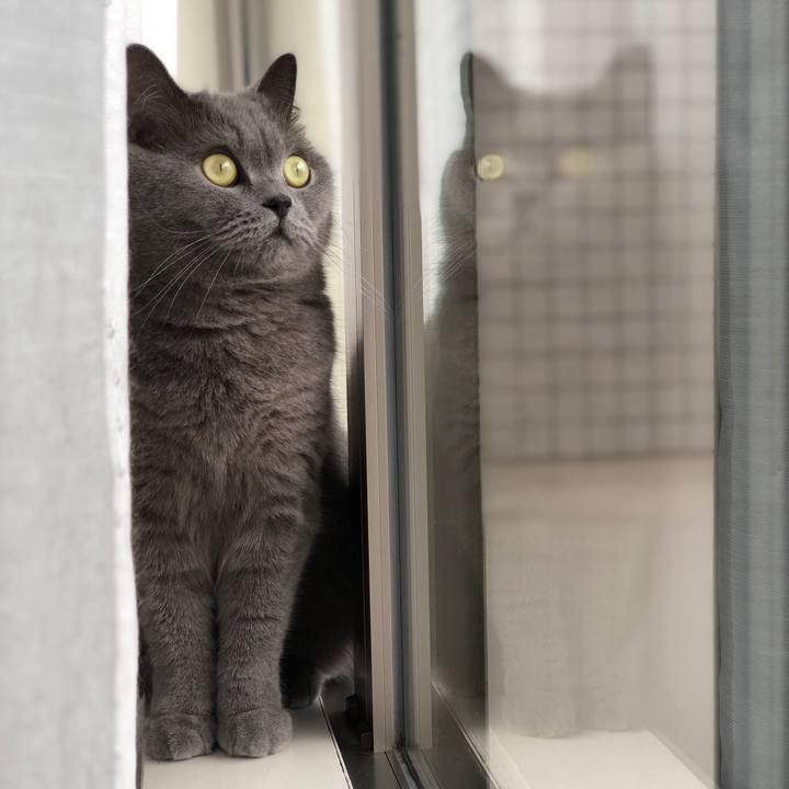 34e47cb8 d2d6 4f68 aacc 96e0e8609867 1527386060871