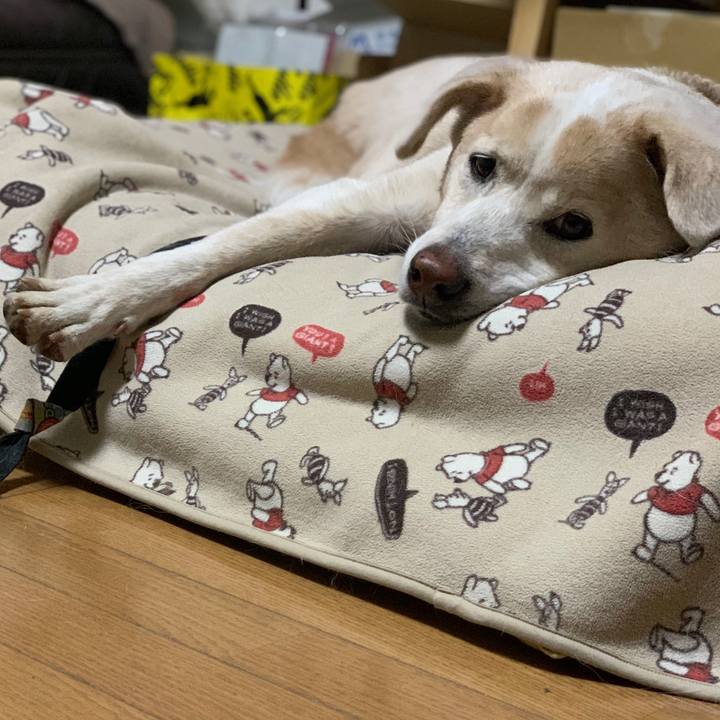 34e49009 bfff 4cc6 8019 0d8f285a3f75 1640952600040