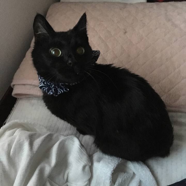 34e4ce07 5273 43b2 86a6 26169d3f2fda 1551820662462