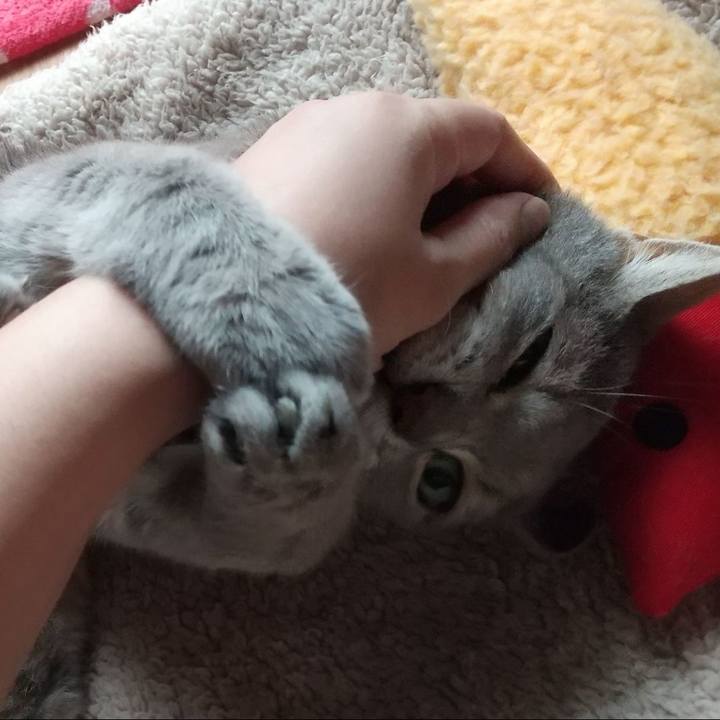 34e51642 8ed5 43f4 8fd6 e1c2ebd91e73 1723164788977