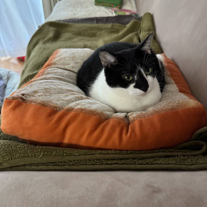 34e51ca9 af06 4a7d a364 6bfabe0df16d 1770949982757