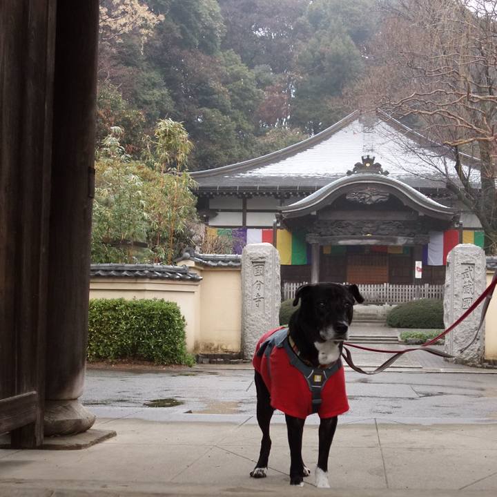 34e5a52e 5b56 4f5f b2b0 b1e199975997 1736210246346