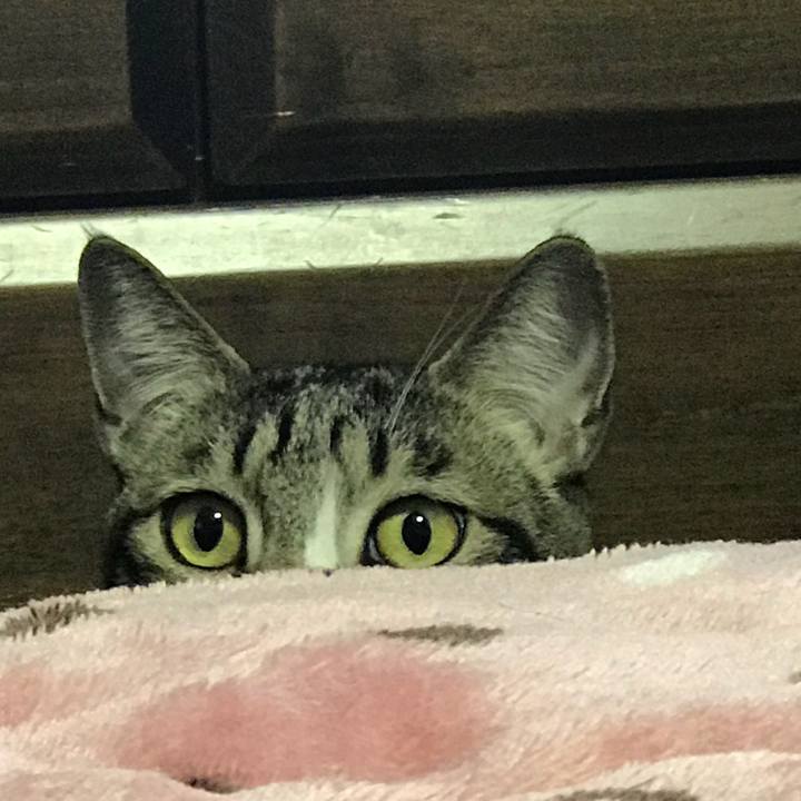 34e5a88f 0402 4d4c 89a7 bdfd049c328c 1520316338571