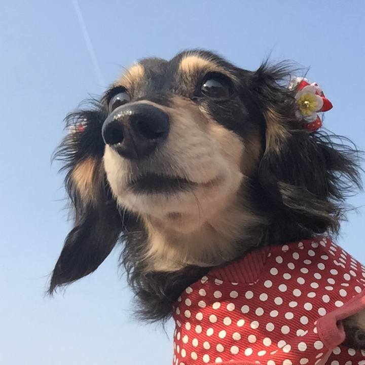 34e5cb75 b161 4c80 8415 c0cc1358dd88 1519430147506