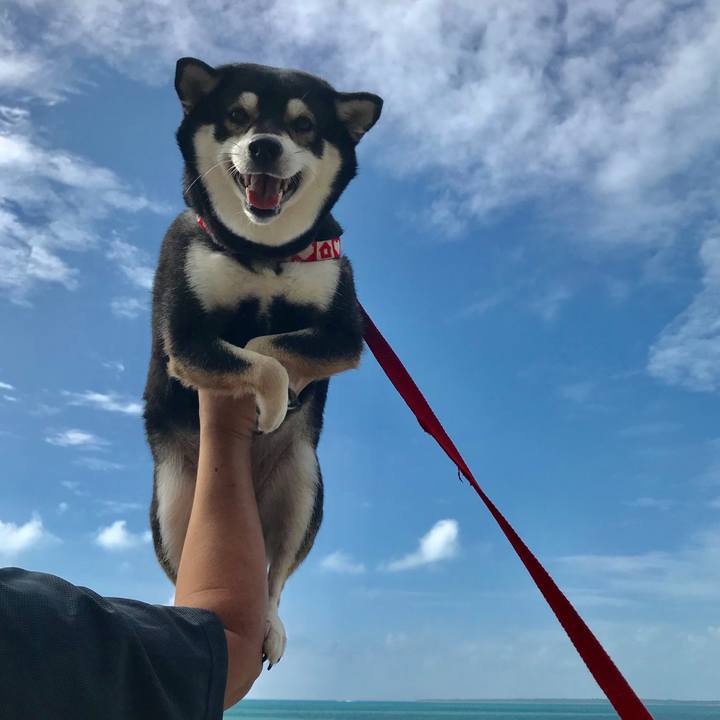 34e5dcfc 74cd 4a7f bccb 65aca9caceb1 1510021787461