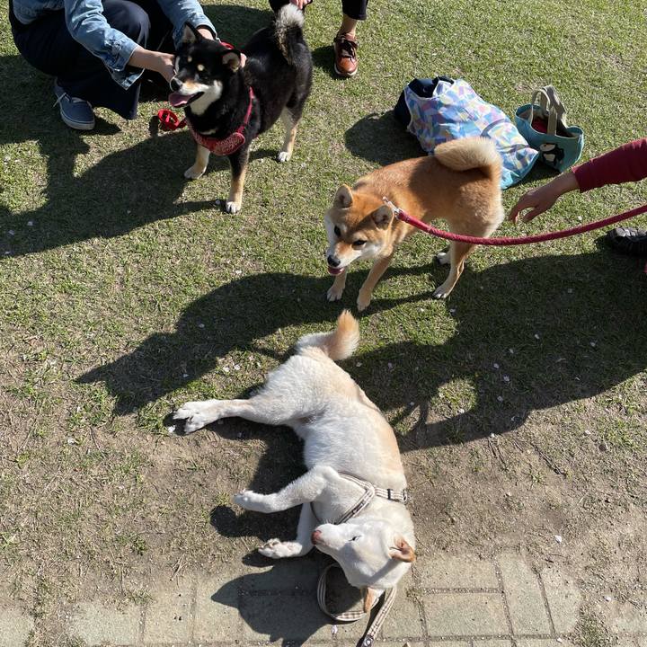 34e5e641 000d 4b2e 82e0 6be44c4a4367 1648986473252