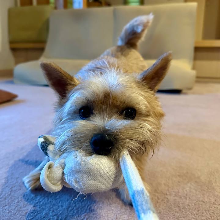 34e5eca8 7c8e 4167 b8e1 337589324185 1753596150500