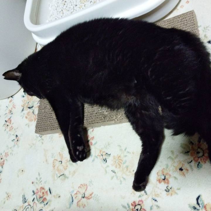 34e5fc5a 8208 4e01 9a46 af891d1e4c9c 1624461720786