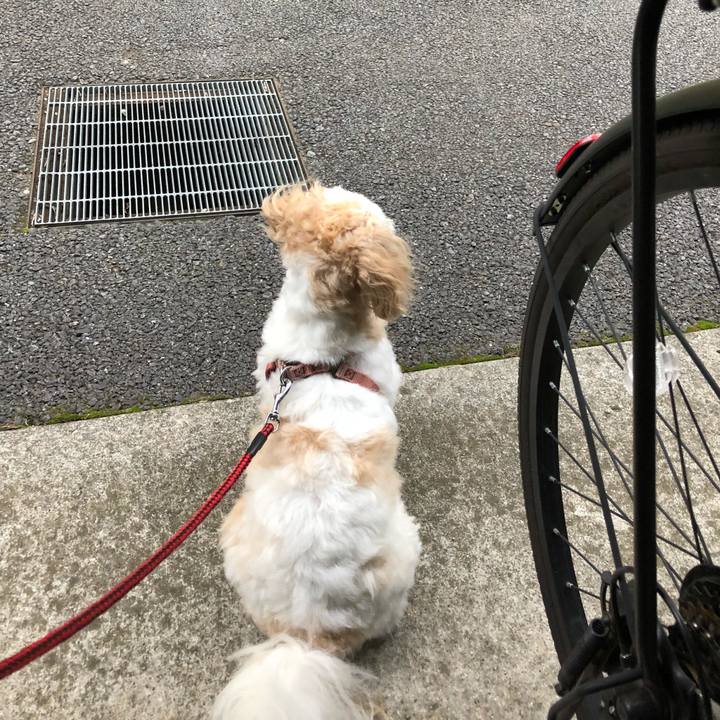 34e6175a a943 422d 9f68 1635c2ef2290 1539985939207