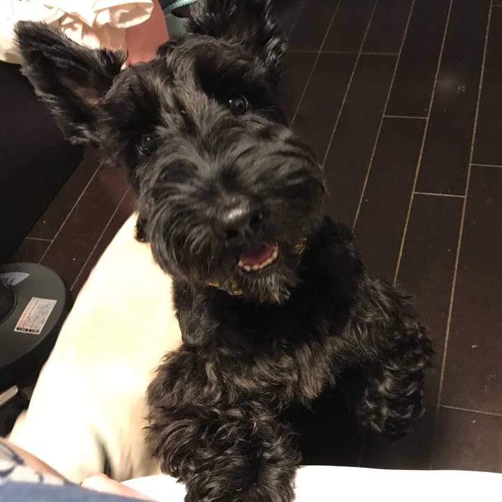 34e623d3 9588 4d73 a155 39abf76c89e2 1568909066393