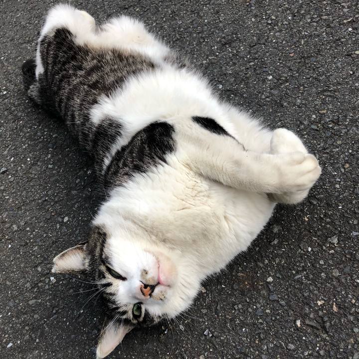 34e62894 10e3 4279 9a53 e284cb7d74e2 1588910717702