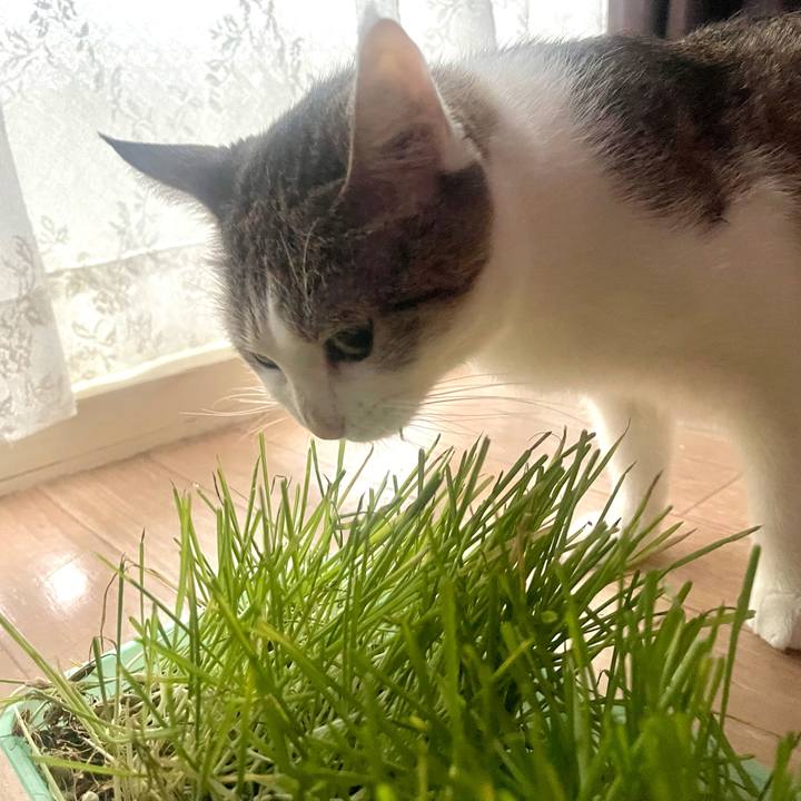 34e637ca eb0f 4574 be4c 04fc6a9dbb58 1630704905939