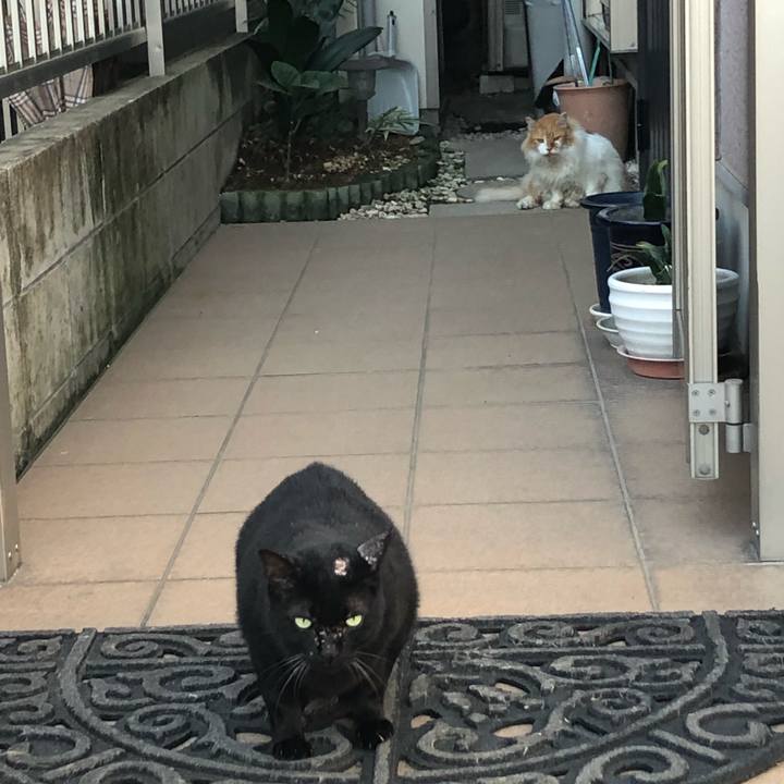 34e6624f 7a8b 4715 b230 967b4aaf6e8e 1570456361147