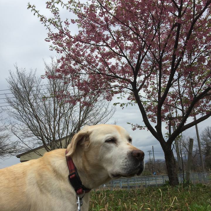 34e68ec1 2cfd 4c69 a6f0 2ca692f4df63 1554555343030