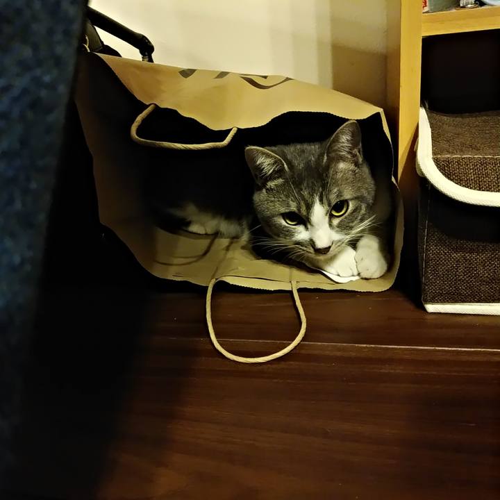 34e6c440 db47 48ae be81 3ef8938dbfac 1582032723214