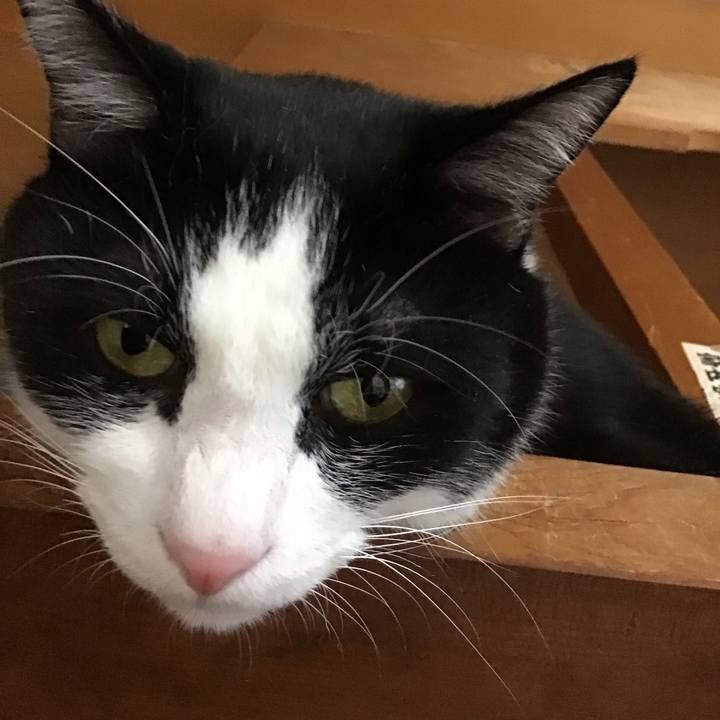 34e6d136 6a40 479b 85b6 2b4e63184168 1758523225152