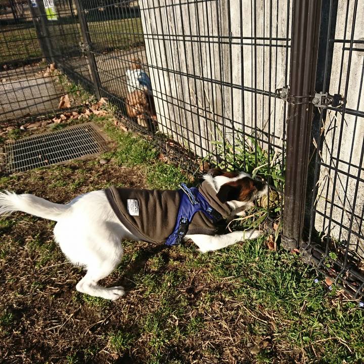 34e6e4cc 5d26 4712 8c2a b1a6c3fbff64 1519888196501