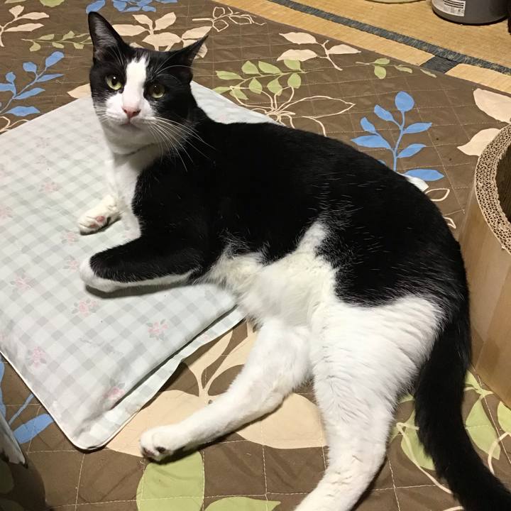 34e77ecf 7be2 4b4b 8797 fc4da5b3b347 1727431245301