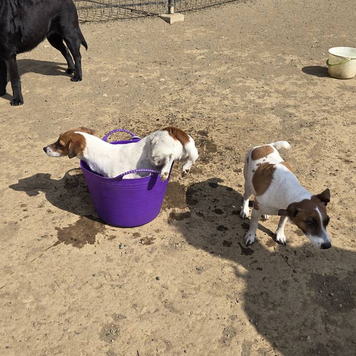 34e790d5 da34 4a89 bf9b 5fd32b34b077 1771892945065