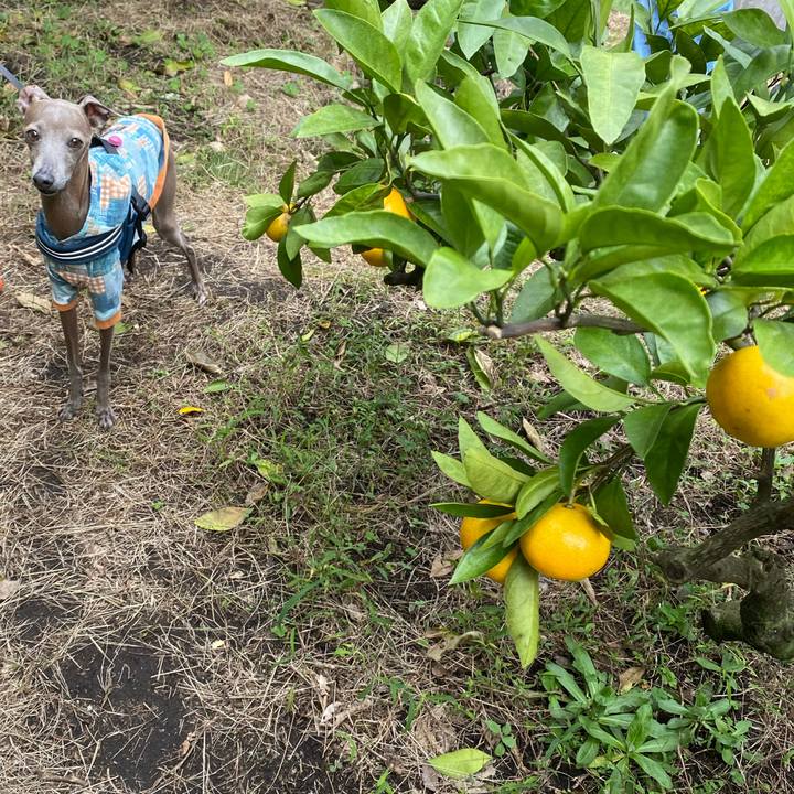 34e7b9d8 e442 46e7 85a2 109e6ae5fa4b 1762160345677