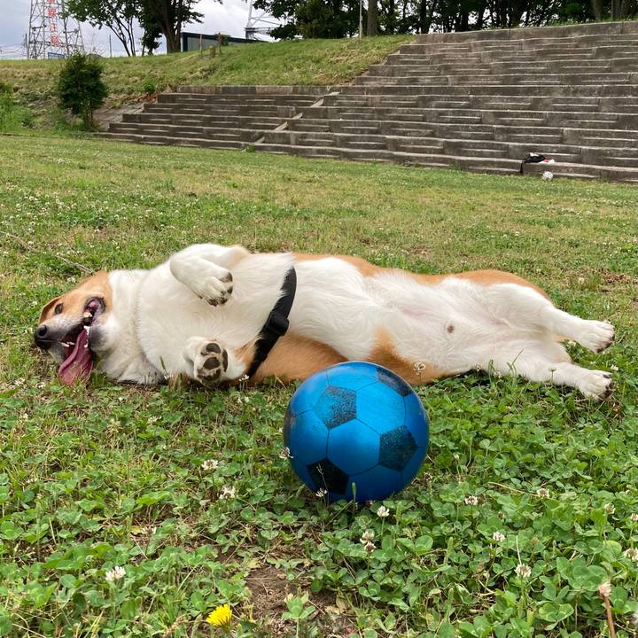 34e8411b ebed 4583 a9c0 be03125ed94f 1684973784932