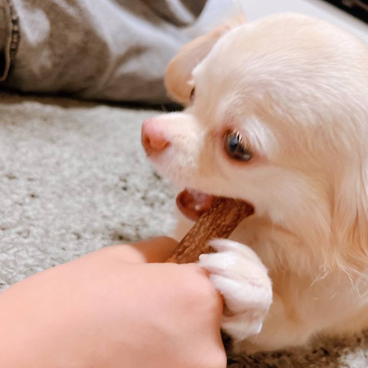 34e8c355 2a74 48ee 95e2 f77bf61c1b64 1658147438271