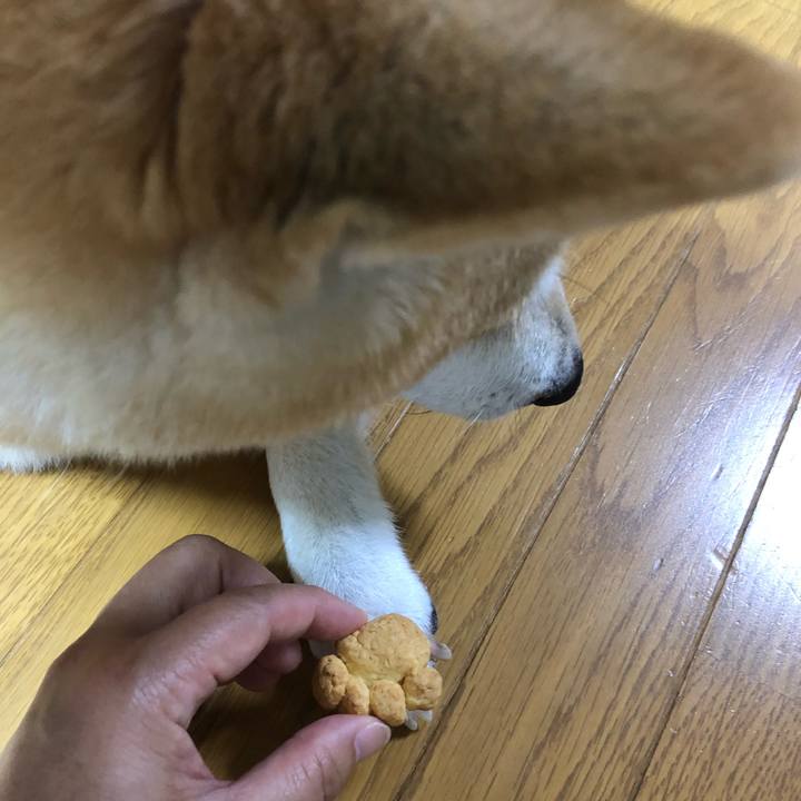 34e8c388 d7fa 48ab 99a5 acb9c94176d2 1568867495544