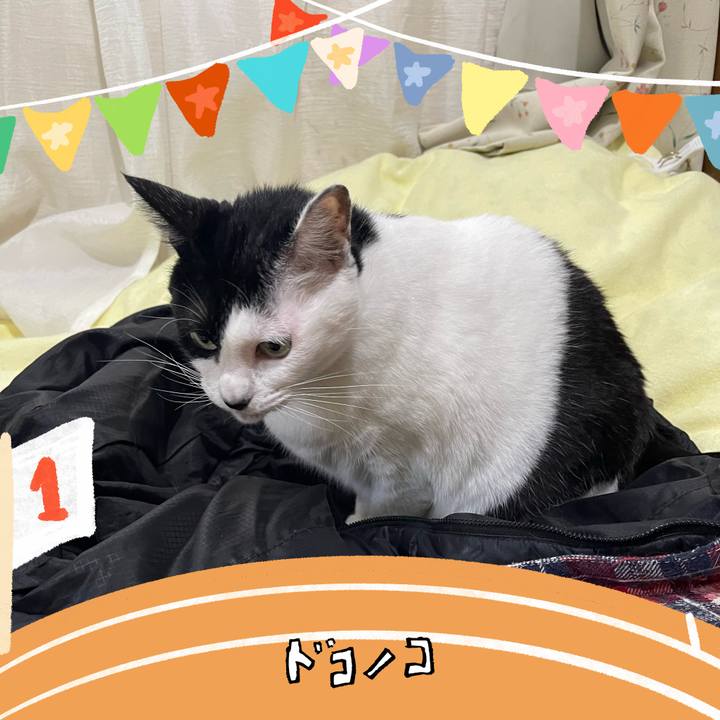 34e8e27c 979c 43c6 a1b7 e4f67fb826f2 1761367543610