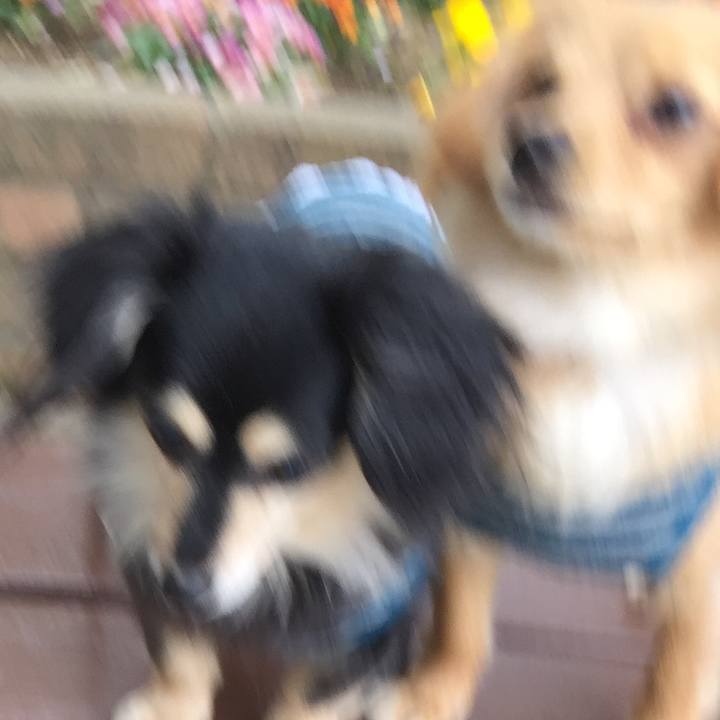 34e8ee31 946f 4470 a5d1 e7cbe48dd1a9 1523868394983